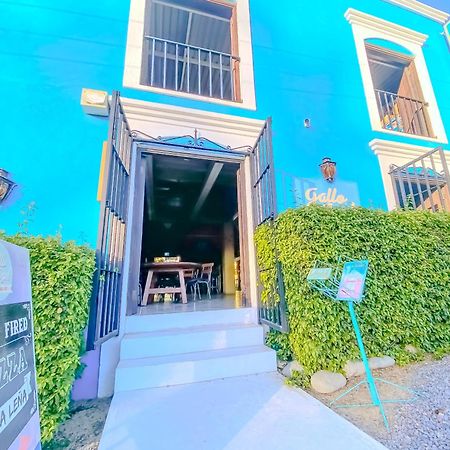 Gallo Azul Hotel, En El Corazon De Тодос-Сантос Экстерьер фото
