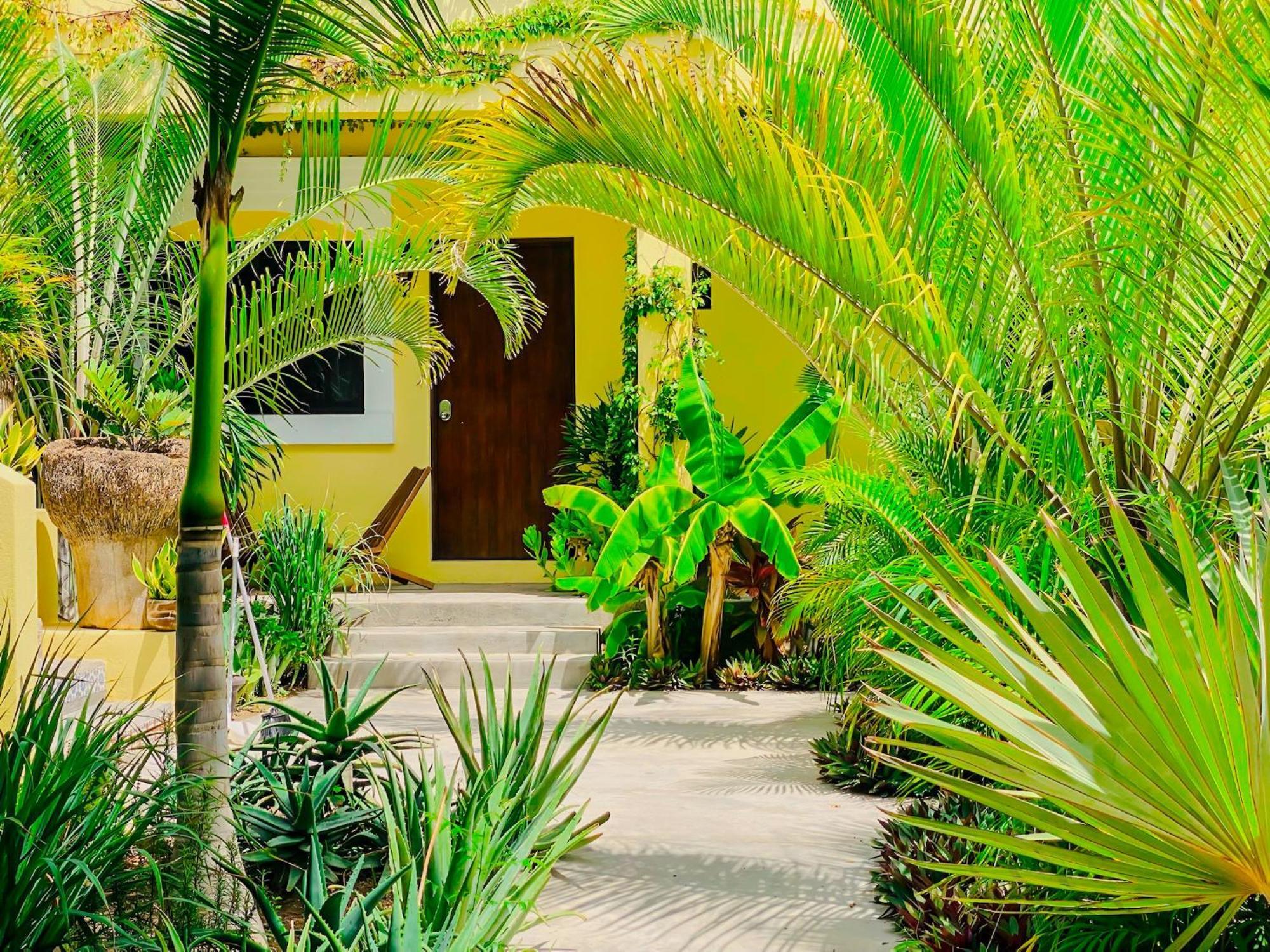 Gallo Azul Hotel, En El Corazon De Тодос-Сантос Экстерьер фото