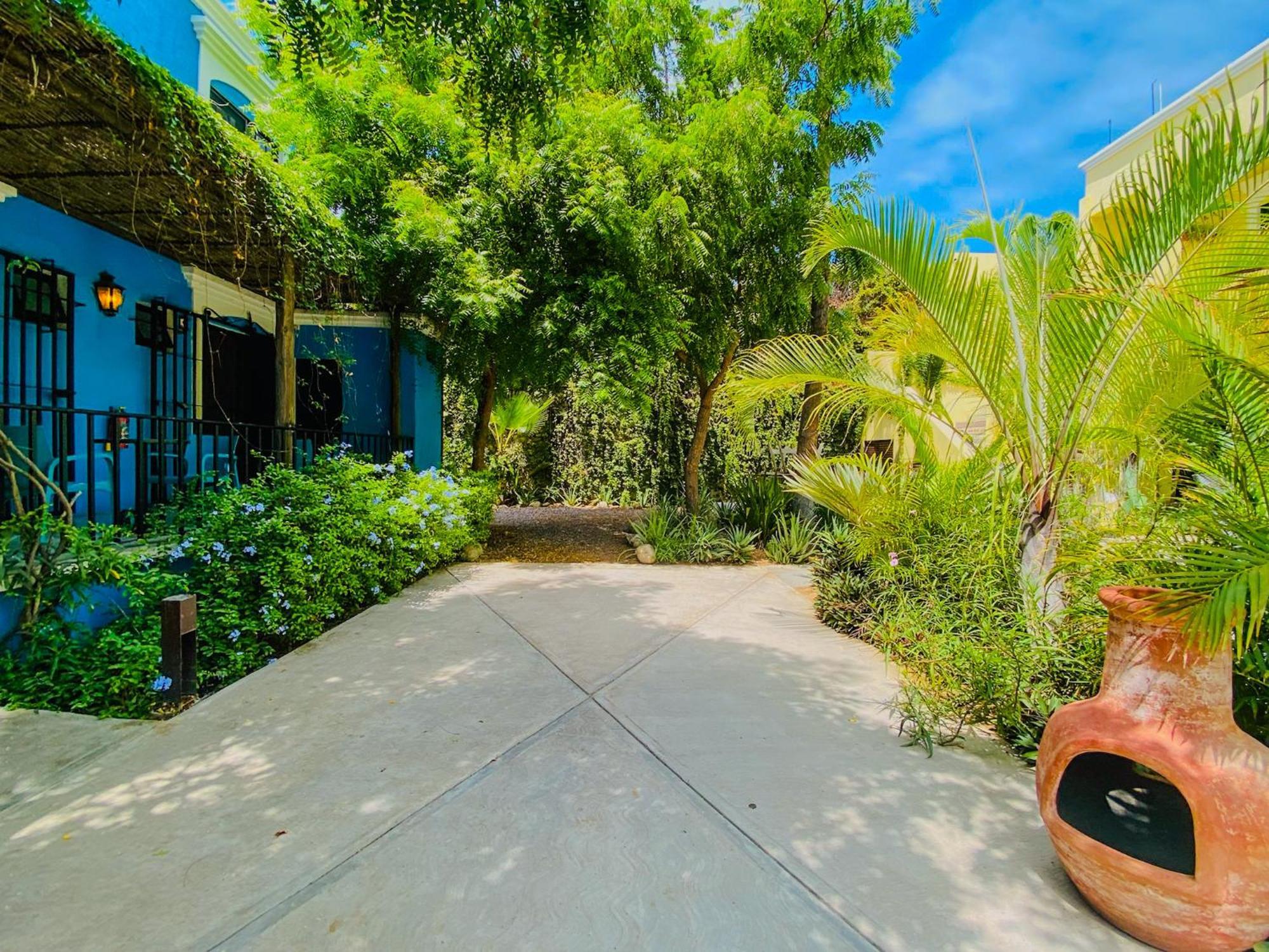 Gallo Azul Hotel, En El Corazon De Тодос-Сантос Экстерьер фото