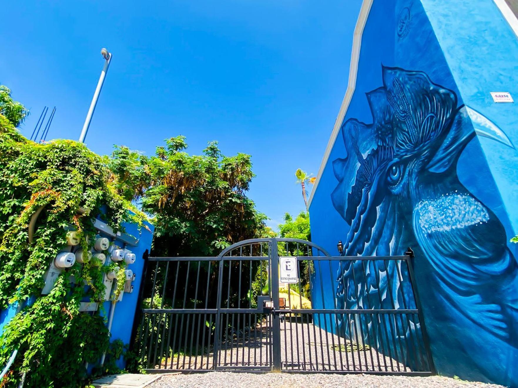 Gallo Azul Hotel, En El Corazon De Тодос-Сантос Экстерьер фото
