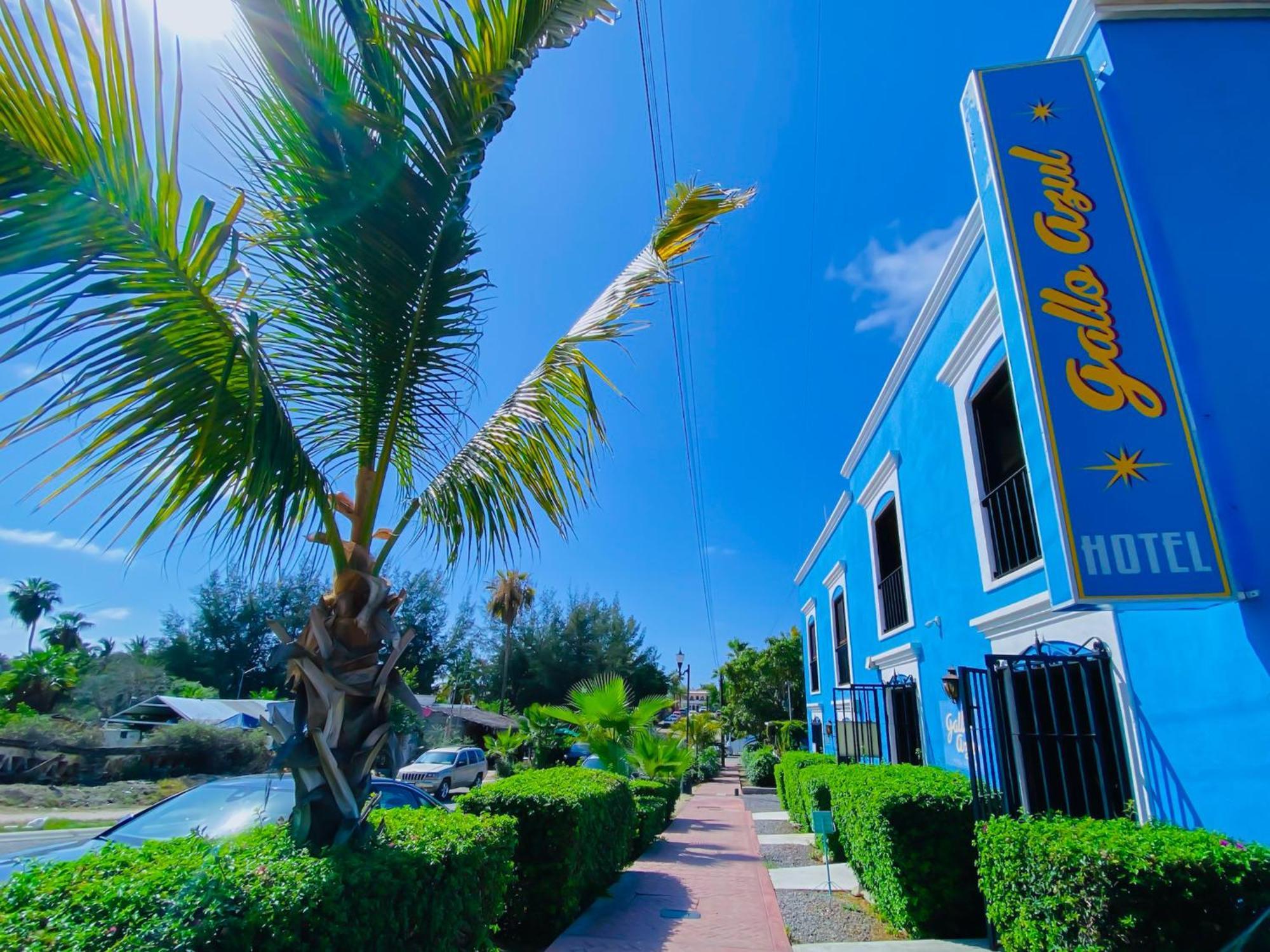 Gallo Azul Hotel, En El Corazon De Тодос-Сантос Экстерьер фото
